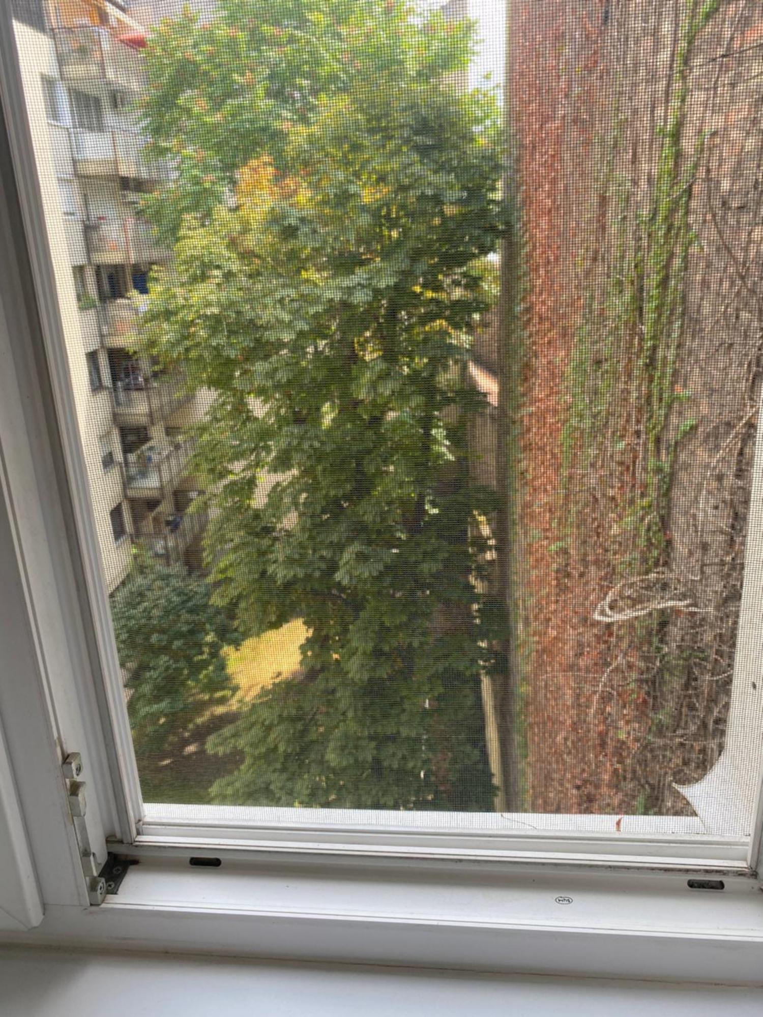 Budapest Oasis One Bedroom For Renting Exteriér fotografie